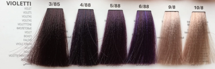 Violetti - fiolety.JPG