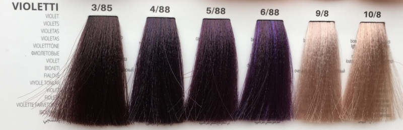 Violetti - fiolety.JPG