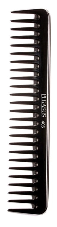 pegasus 406.jpg