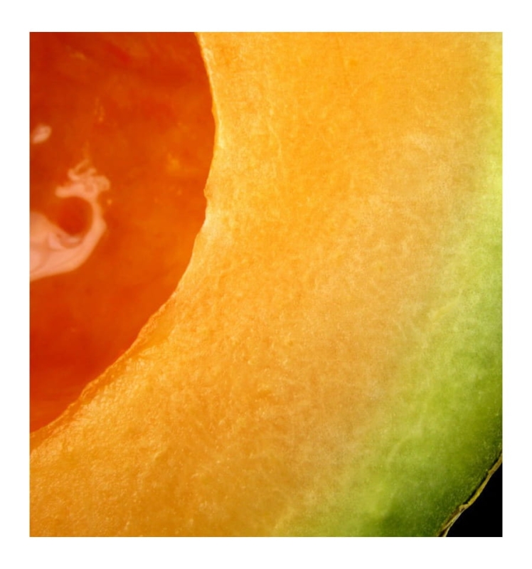 melon.jpg