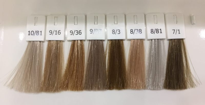 color touch 7-1 10-81.jpg