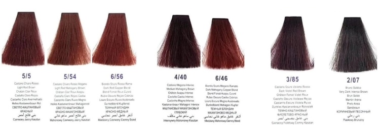 Diapason 5.5  5.54  6.56  4.40  6.46  3.85  2.07.jpg