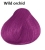 wild orchid.jpeg