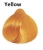 yellow.jpeg