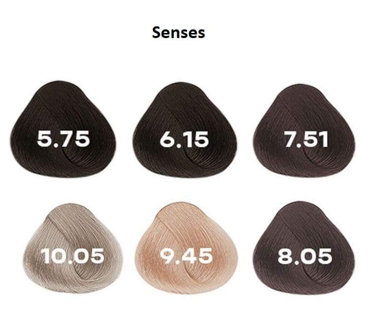 Alfaparf Evolution on the color senses 2022.jpg