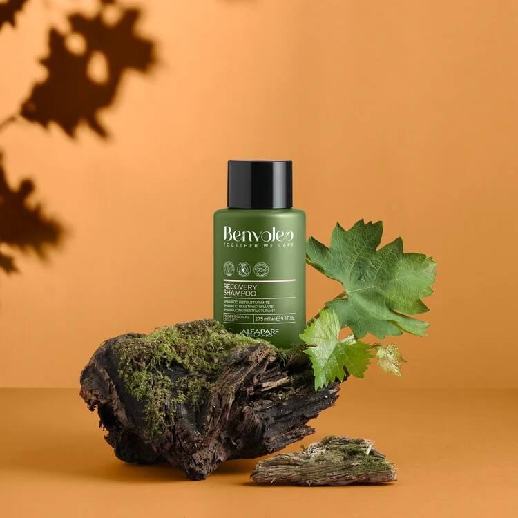 Alfaparf benvoleo recovery Szampon odbudowujący do włosów zniszczonych 275ml