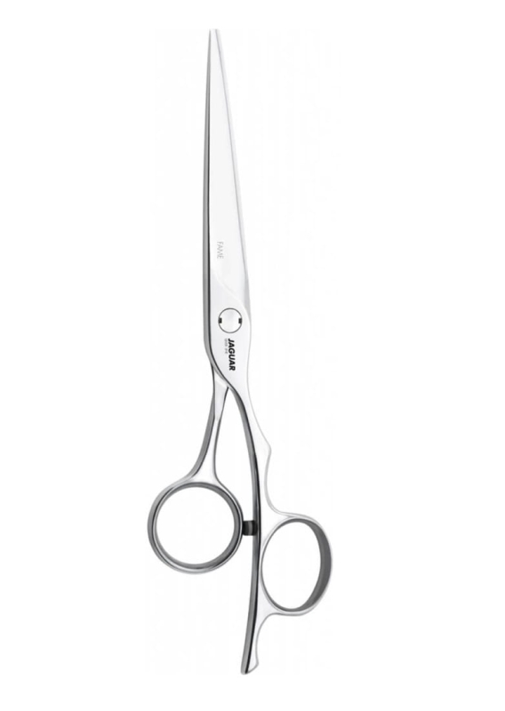 jaguar silver line fame.jpg