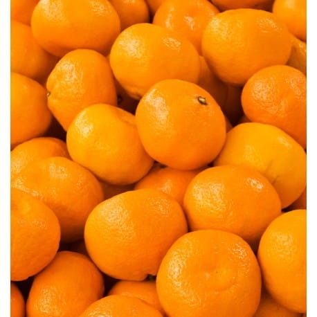 Yodeyma Valia nuty zapachowe(1).jpg