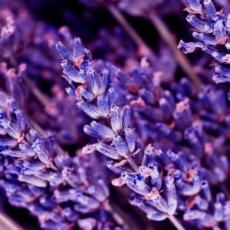 yodeyma oud gem 100ml perfumy 3.jpg