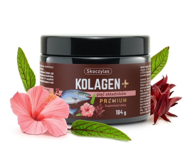 Skoczylas Kolagen z łososia + pięć składników premium Suplement diety 184g