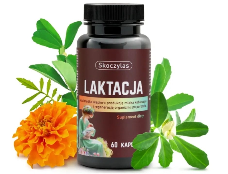 Skoczylas Laktacja dla kobiet karmiących Suplement diety 60 kapsułek