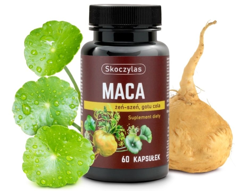 koczylas Maca + żeń-szeń + gotu cola Suplement diety 60 kapsułek