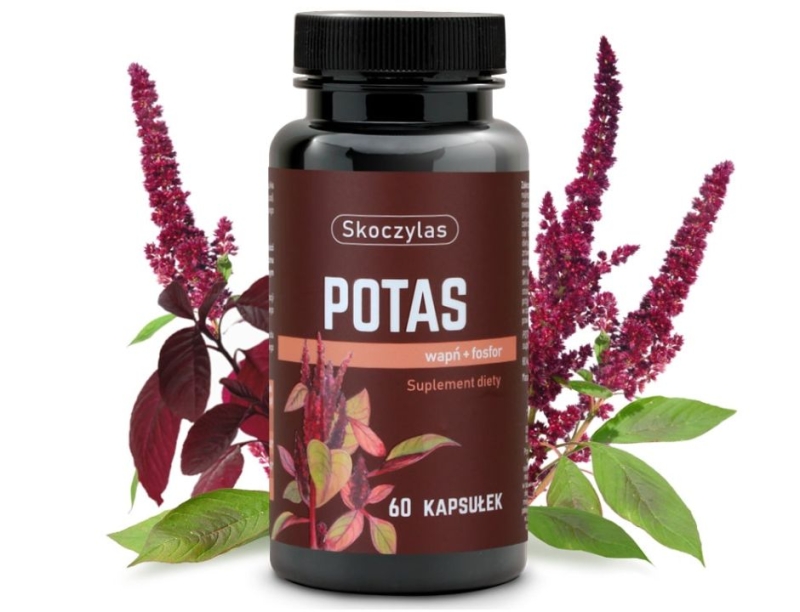 Skoczylas Potas + wapń + fosfor Suplement diety 60 kapsułek