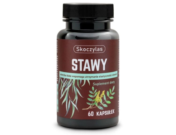 Skoczylas Stawy Suplement diety 60 kapsułek