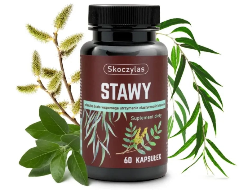 Skoczylas Stawy Suplement diety 60 kapsułek