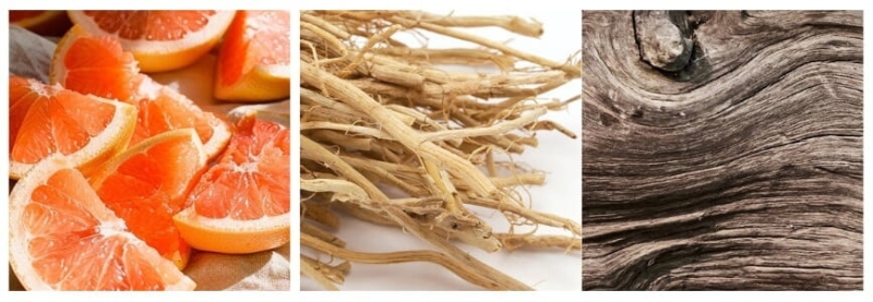 Yodeyma perfumy Oseus nuty zapachowe(1).jpg