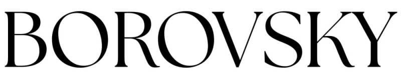 Borovsky logo 1.jpg