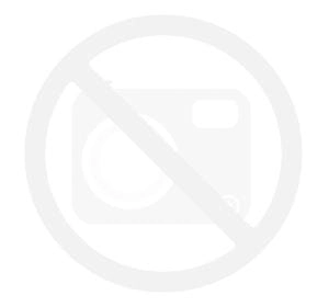Fox Metalowy klips do włosów