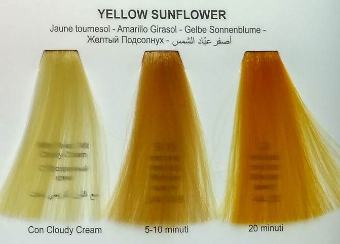 yellow sunflower.png