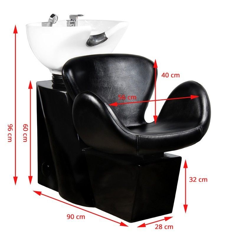 AMSTERDAM Gabbiano1.jpg