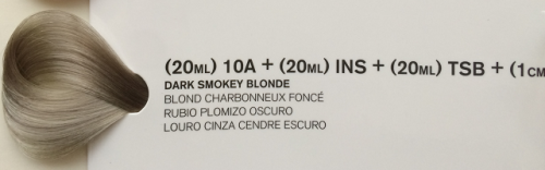 10a ins tsb.png