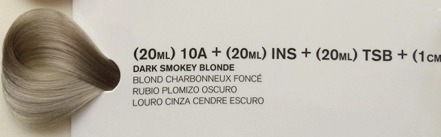 10a ins tsb.png